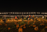 Pumpkin Nights - Friday 16th October 2026