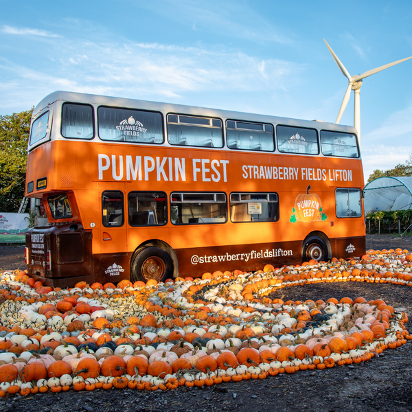 Autumn Adventures Await at Strawberry Fields: Get Ready for Pumpkin Fest and Cozy Fall Finds!