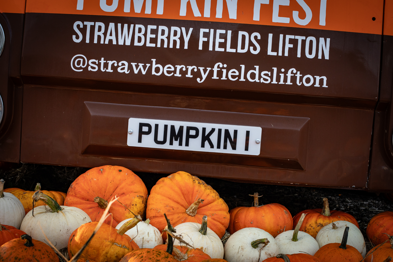 Pumpkin Fest - Tues 29th Oct 2024