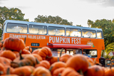 Pumpkin Fest - Tues 29th Oct 2024