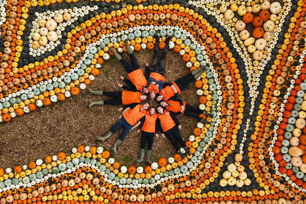Pumpkin Fest - Saturday 4th October 2025
