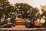Pumpkin Fest - Saturday 10th October 2026