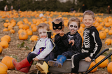 Pumpkin Fest - Saturday 10th October 2026
