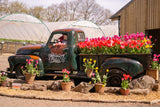 Tulip Fest - Tues 14th April 2026