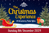 Christmas Experience - Sun 8th Dec 2024