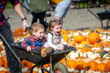 Pumpkin Fest - Wed 30th Oct 2024