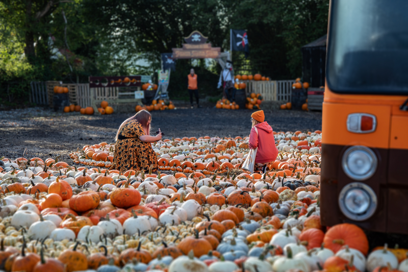 Pumpkin Fest - Wed 30th Oct 2024